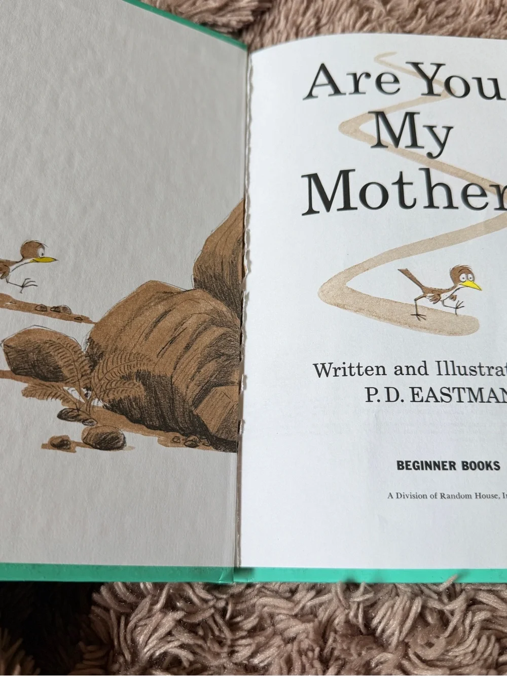 Vintage 1960 Dr. Seuss Are You my mother by PD Eastman